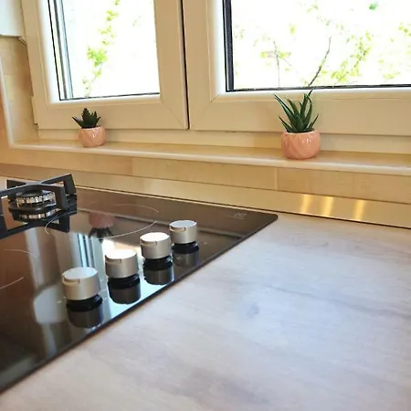 Velvet Apartment